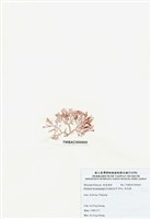 藏品(浪花藻)的圖片